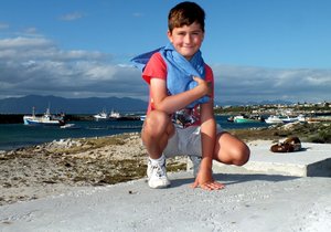 Opgewonde Besoekertjie